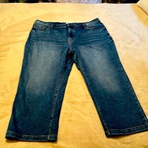 Lane Bryant women’s jeans size 22 barely worn